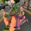 Small image 3