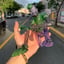 Small image 5