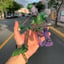 Small image 8