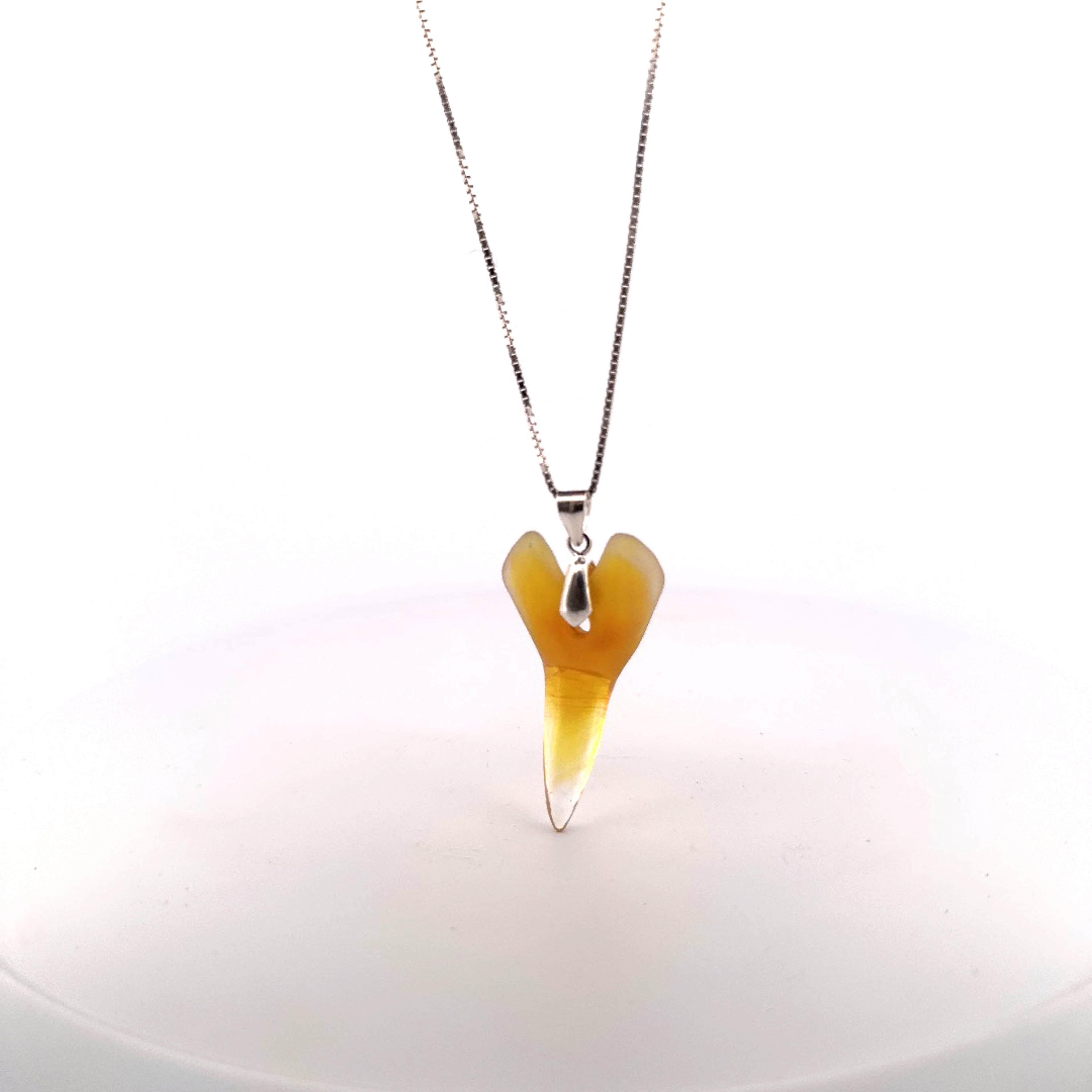 Tidepool Treasures - Freestyle Shark Tooth image 0