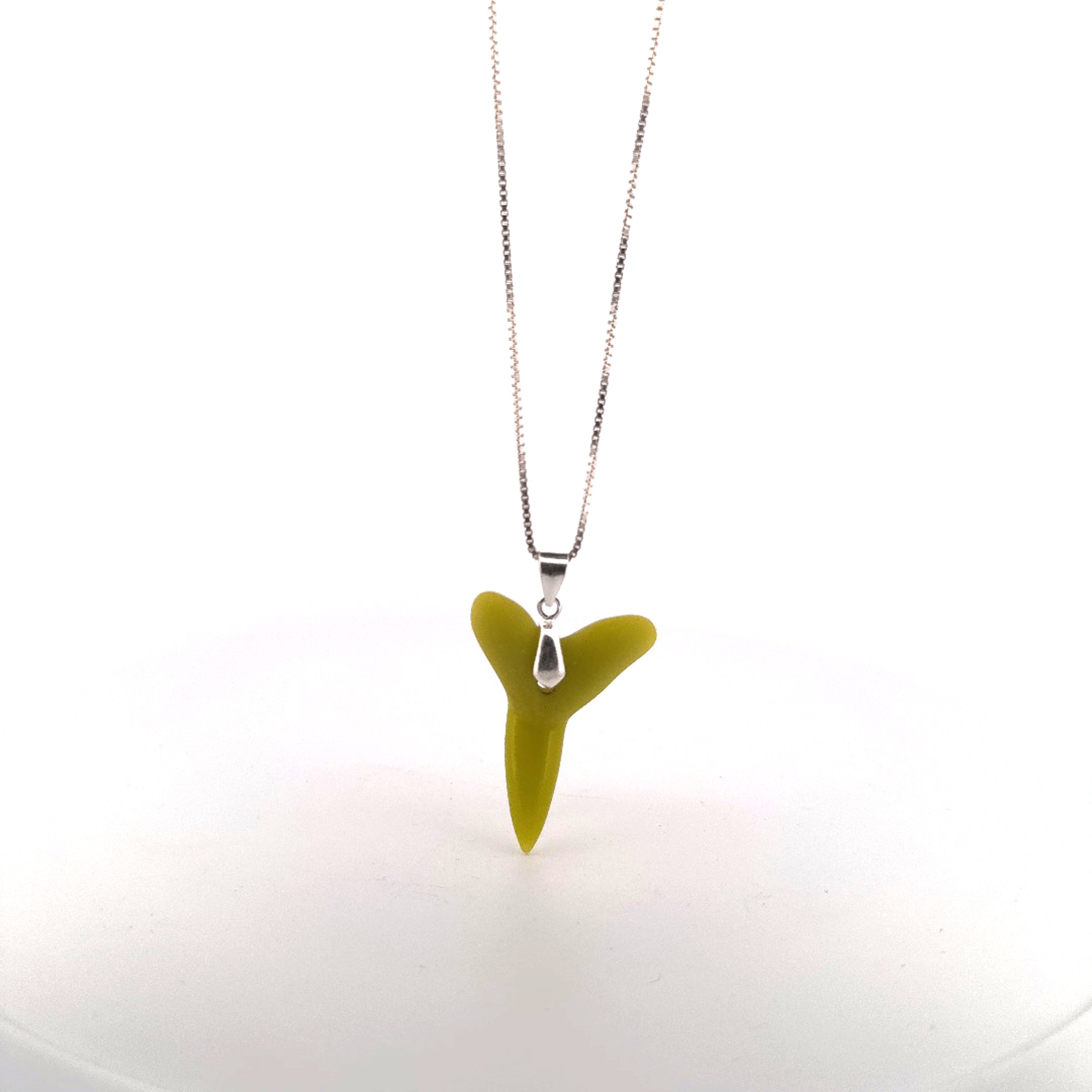 Tidepool Treasures - Freestyle Shark Tooth image 0