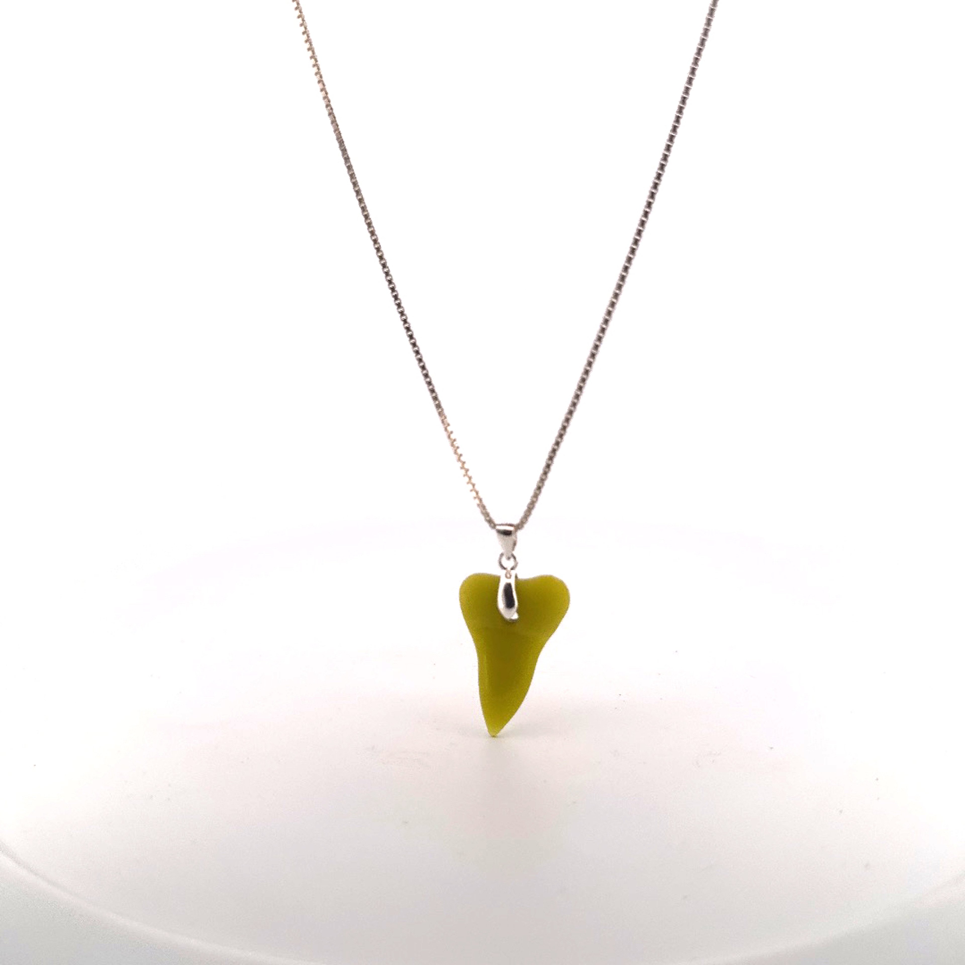 Tidepool Treasures - Freestyle Shark Tooth image 0