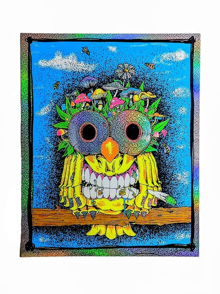 Aaron Brooks "Earth Owl (Foil)" Print