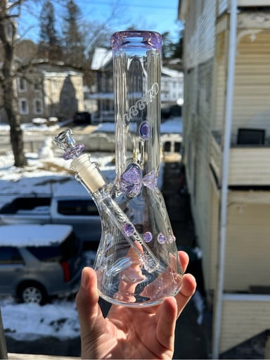 Preview pic of 2023 Purple Lollipop Hubbard Mini-Beaker