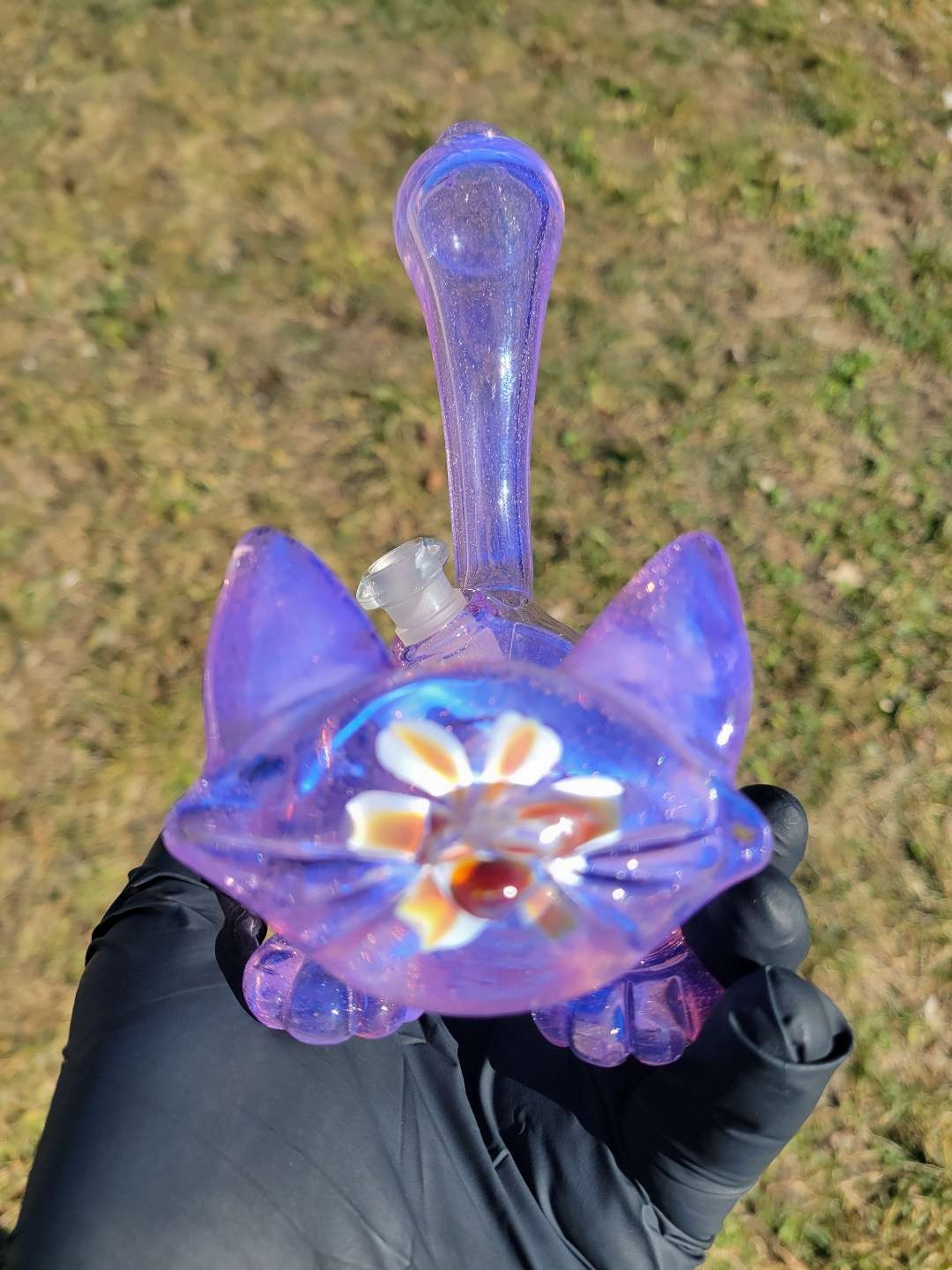 Cicikittyglass image 0
