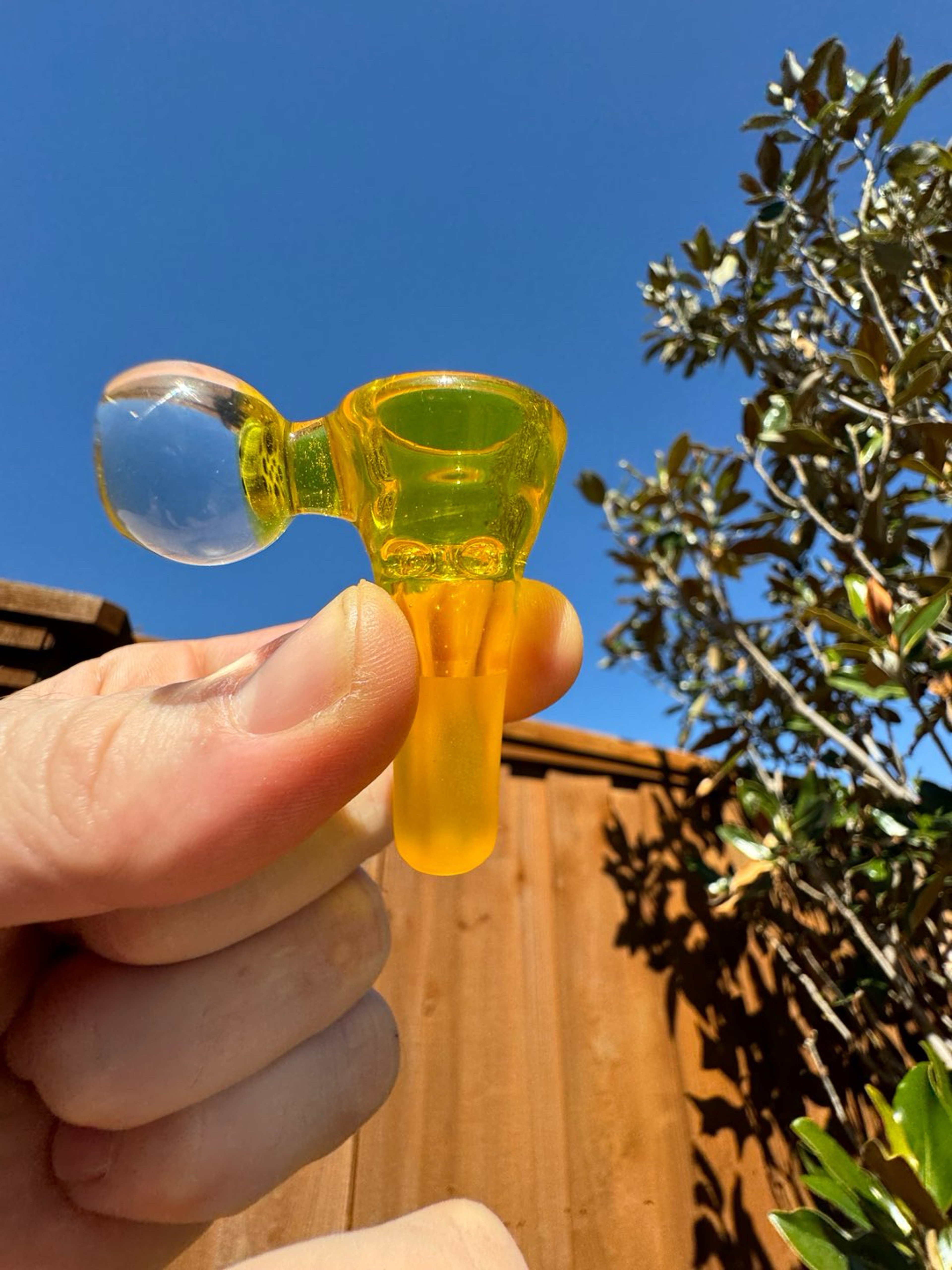 Preview pic of Pineapple full color Swiss slide