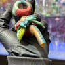 Small image 5