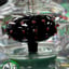 Small image 6