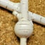 Small image 8
