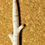 Small image 7