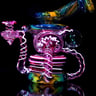 Small image 6