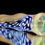 Small image 5