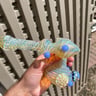 Small image 3