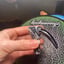Small image 5