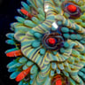 Small image 5