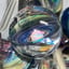 Small image 8