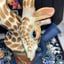 Small image 5