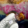 Small image 4