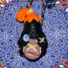 Small image 4