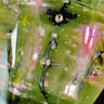 Small image 4