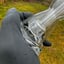 Small image 7