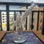 Small image 8