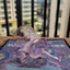 Small image 6
