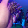 Small image 3