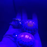 Small image 5