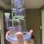 Small image 6