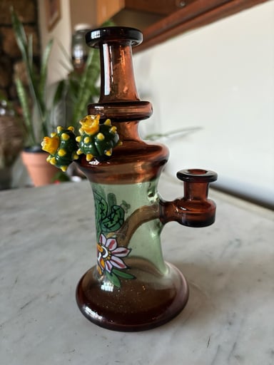 Preview pic of Eios cactus disc flip