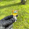 Small image 1