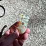 Small image 2
