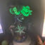 Small image 6