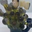 Small image 6
