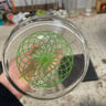 Small image 6