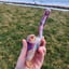 Small image 6