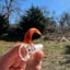 Small image 8