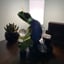 Small image 2