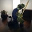 Small image 4