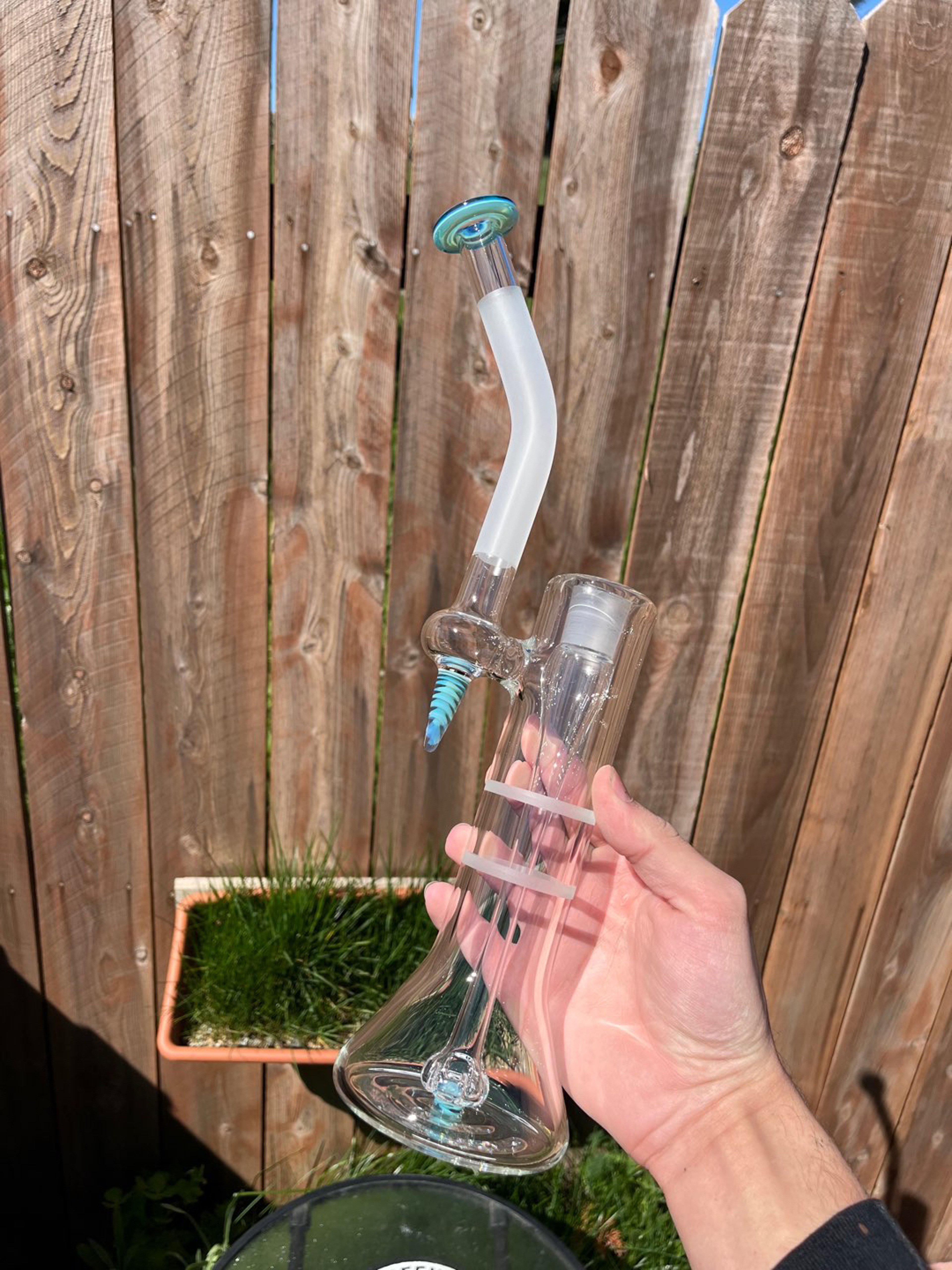 Preview pic of Green belts bub