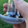 Small image 2