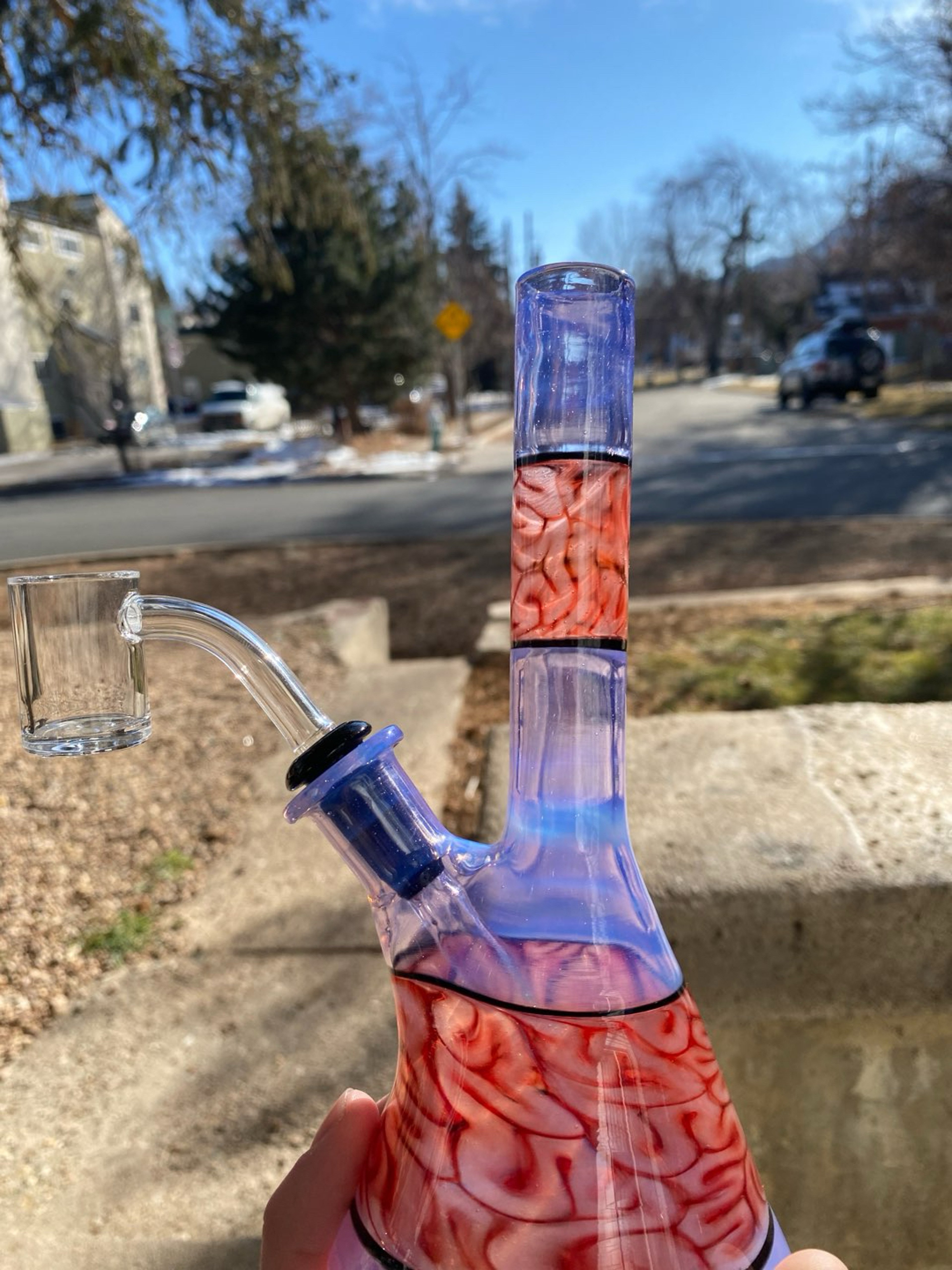 Algae lucid/brain tech tube image 0