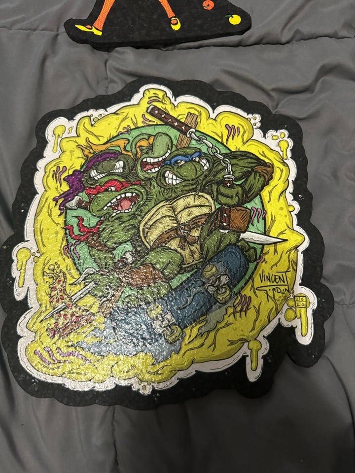 Teenage Mutant Ninja Turtle Mat Image