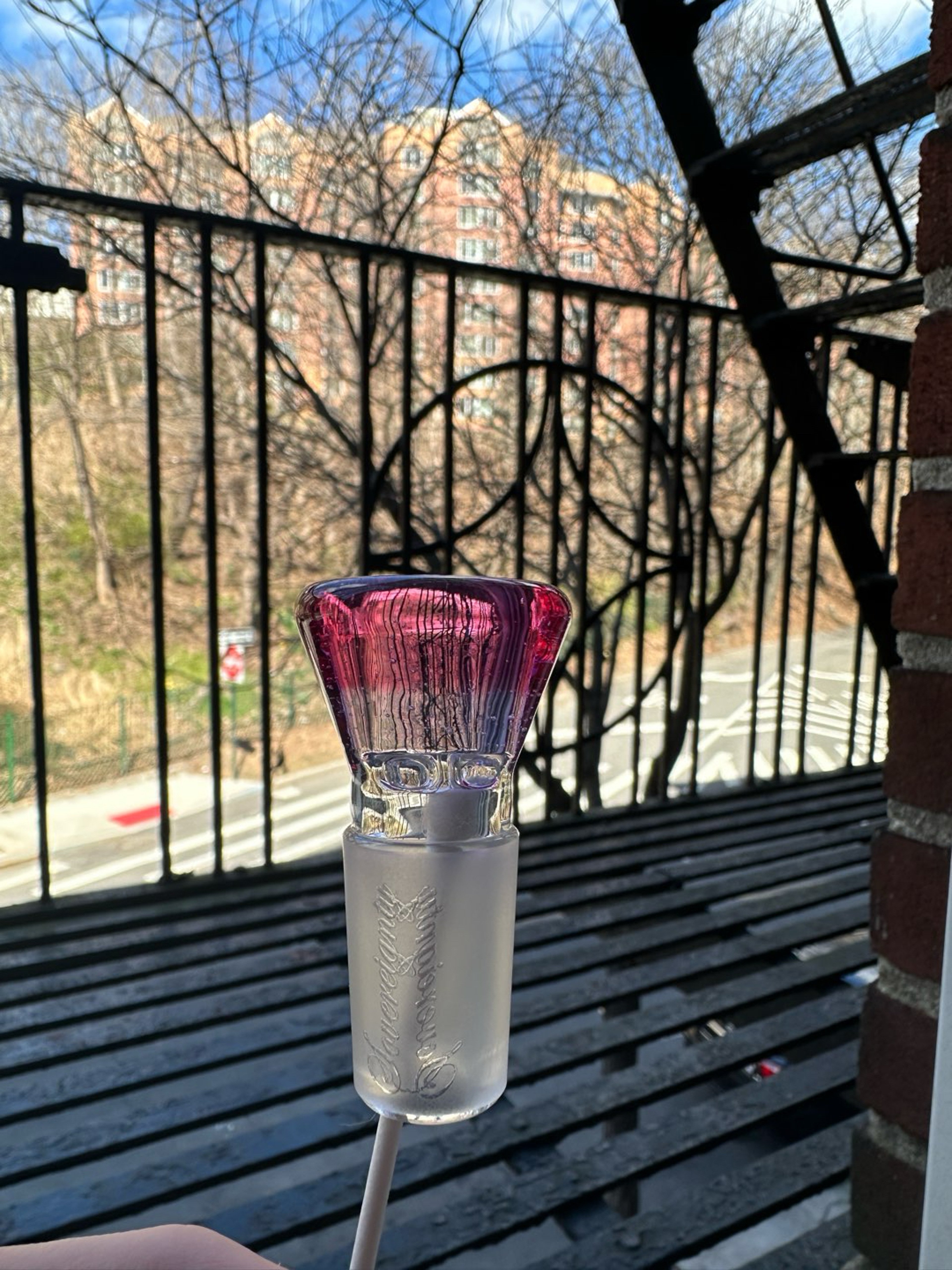 Preview pic of Hornless Sovereignty Transparent Gold Ruby Phoenix Enacased in Clear