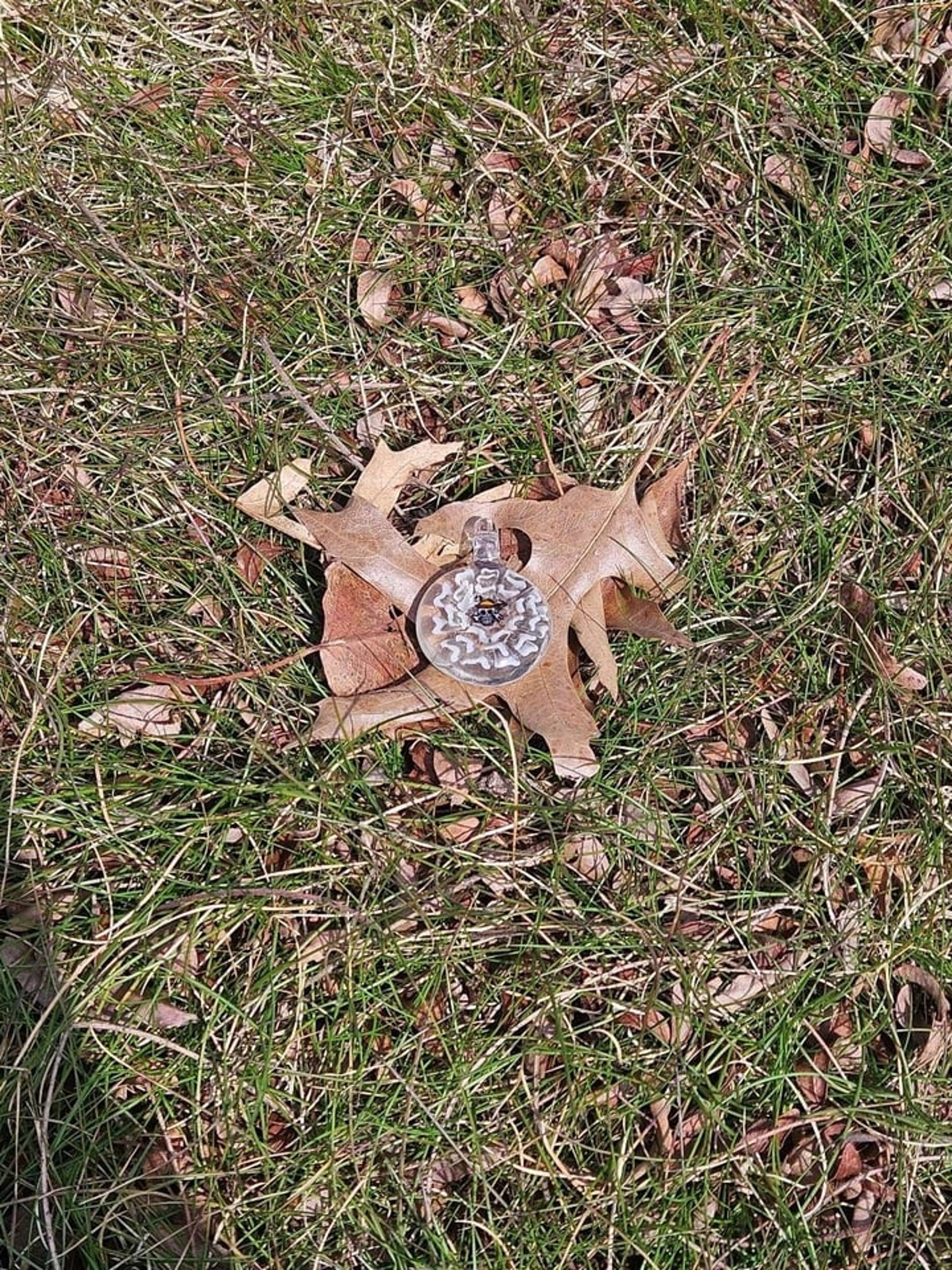 One peice pendy image 0