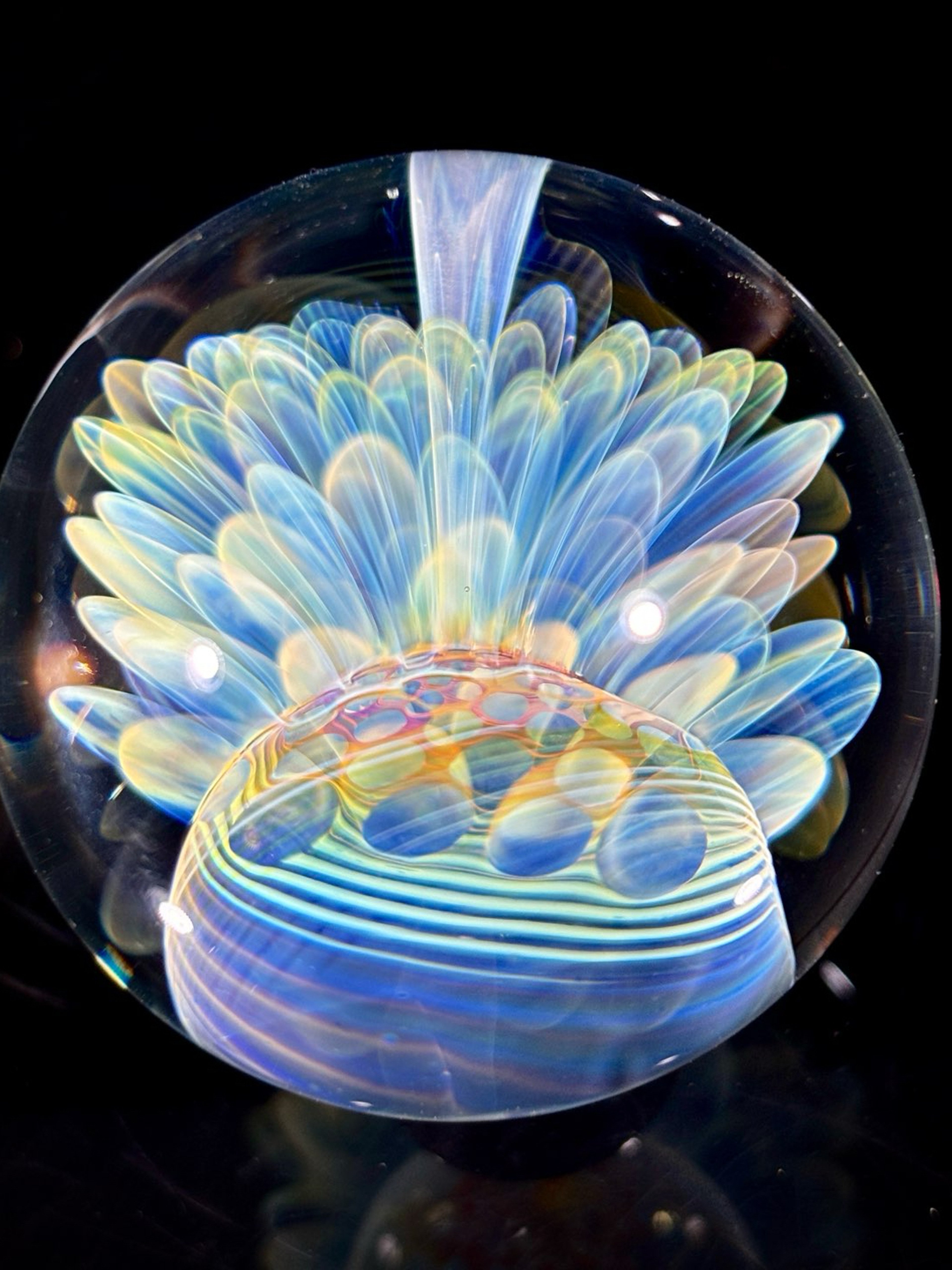 Preview pic of Fumed Sunflower