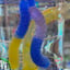 Small image 5