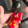 Small image 3