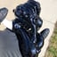 Small image 7